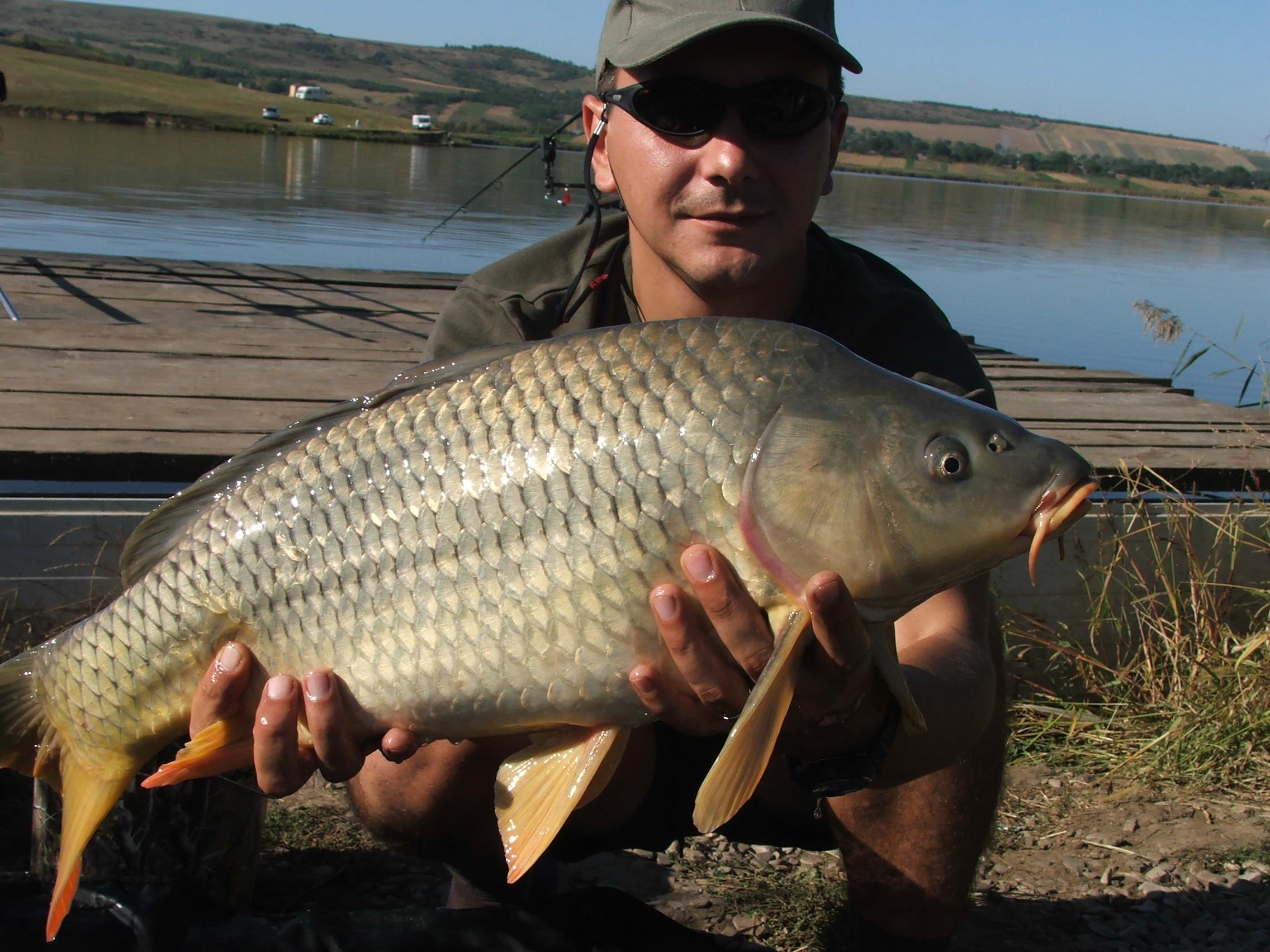 2012 - Lates cu prietenii - DSCF4991.JPG